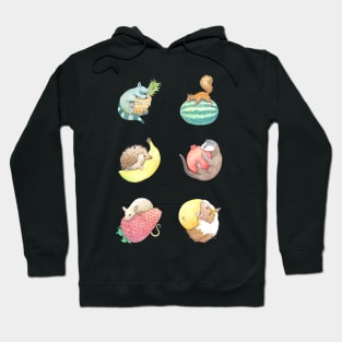 Small Animals & Fruit Hoodie